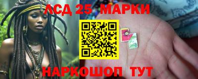 MDMA Гатчина